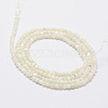 Natural White Shell Beads G-N0190-11-2mm-3
