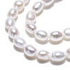 Natural Cultured Freshwater Pearl Beads Strands PEAR-N012-02L-5