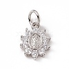 Brass Micro Pave Cubic Zirconia Charms ZIRC-F132-36P-1