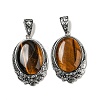 Natural Tiger Eye Big Pendants G-Z050-04B-1