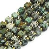 Natural African Turquoise(Jasper) Beads Strands G-I376-D29-01-1