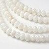 Dyed Natural Freshwater Shell Rondelle Bead Strands X-BSHE-O016-19D-1