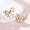 Brass Micro Pave Cubic Zirconia Stud Earrings Findings EJEW-F373-04G-1