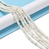 Natural Howlite Beads Strands X-G-E604-A01-B-2