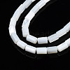 Natural Freshwater Shell Beads Strands SHEL-N003-26-4