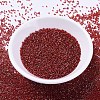 MIYUKI Delica Beads SEED-X0054-DB0295-2