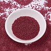 MIYUKI Delica Beads SEED-J020-DB0775-2