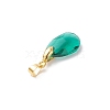 Brass Glass Pendants PALLOY-JF04501-01-5