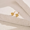 Stainless Steel Stud Earrings TY5143-4-1
