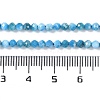 Natural Apatite Beads Strands G-P542-A06-02-5