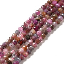 Natural Red Corundum/Ruby and Sapphire Beads Strands G-I341-10A