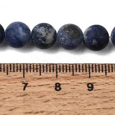 Natural Sodalite Beads Strands X-G-Q462-8mm-07-1
