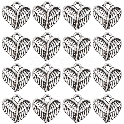 Tibetan Style Alloy Charms TIBE-SC0009-27-1