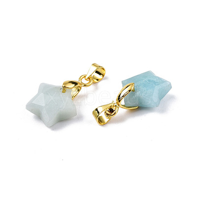 Natural Amazonite Charms G-N326-142-08-1