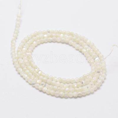 Natural White Shell Beads G-N0190-11-2mm-1
