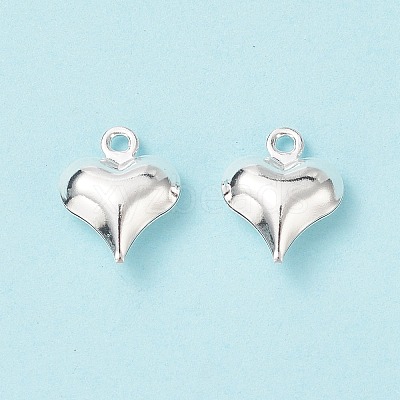 304 Stainless Steel Charms STAS-I138-11A-S-1