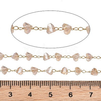 Glass & 304 Stainless Steel Beaded Chains SA-CBAD321-04B-1