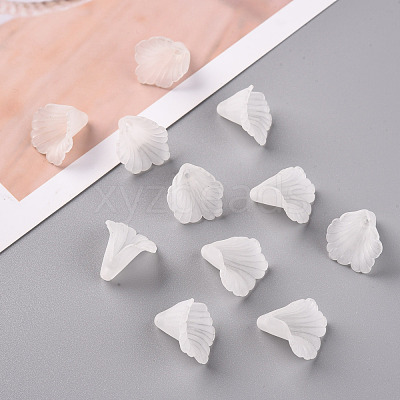 Transparent Acrylic Bead Caps PL551-1