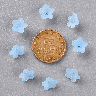 Transparent Acrylic Beads X-PL554-12-1