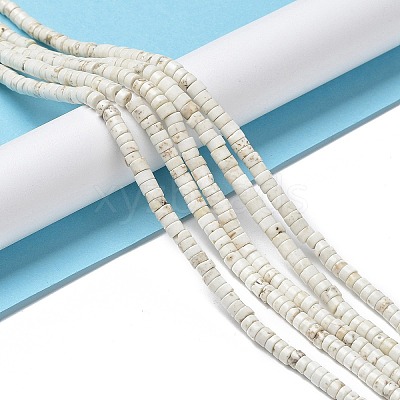 Natural Howlite Beads Strands X-G-E604-A01-B-1