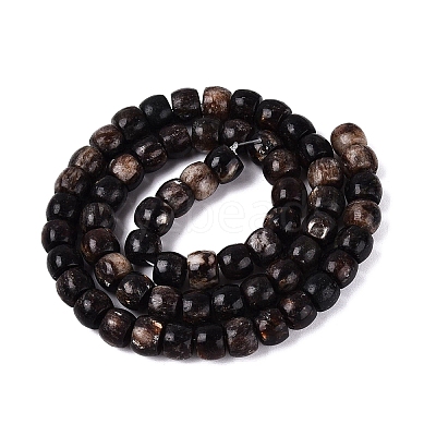 Natural Biotite Beads Strands G-Q616-02A-11-1