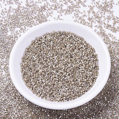 MIYUKI Delica Beads SEED-J020-DB0680-1