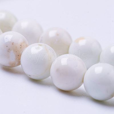 Natural Magnesite Bead Strands X-G-P286-10-6mm-1