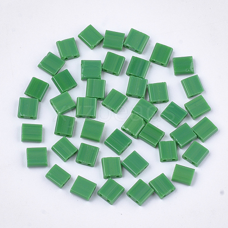 2-Hole Opaque Glass Seed Beads SEED-S023-21C-04-1