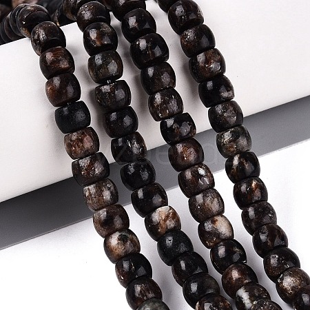 Natural Biotite Beads Strands G-Q616-02A-11-1