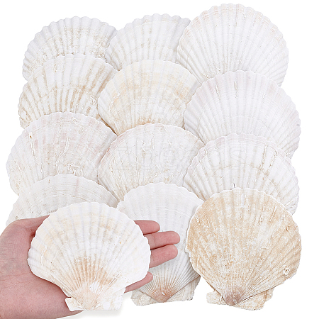 60Pcs Natural Shell Jewelry Decorative Plate AJEW-GA0009-64B-1