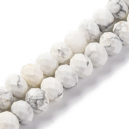 Natural Howlite Beads Strands G-K380-A10-01-1