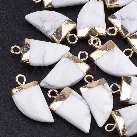 Natural Howlite Pointed Pendants X-G-Q966-10-1