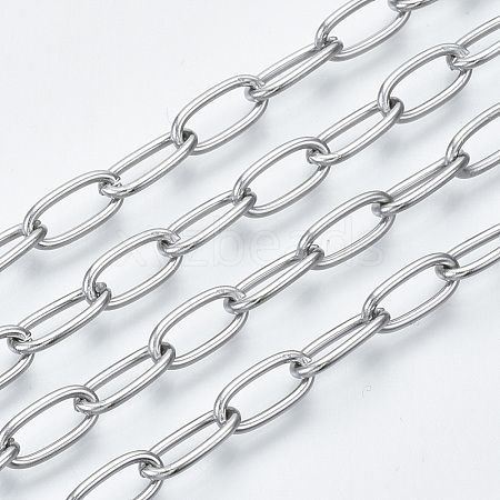 3.28 Feet 304 Stainless Steel Paperclip Chains X-CHS-S001-06A-P-1