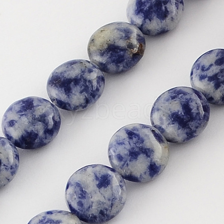 Natural Blue Spot Jasper Bead Strands G-R189-04-1