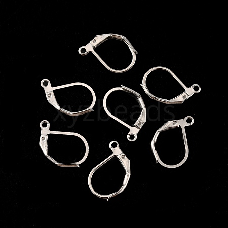 Iron Leverback Earring Findings EJEW-WH0014-02P-1