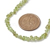 Natural Peridot Chip Beaded Necklace NJEW-JN04615-16-3