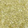 Glass Seed Beads SEED-L011-05B-06-3