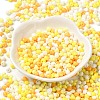 6/0 Opaque Baking Paint Glass Seed Beads SEED-M012-02A-28-2