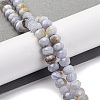 Natural Blue Lace Agate Beads Strands G-K380-A33-04-2