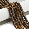 Natural Tiger Eye Beads Strands G-H042-A04-03-2