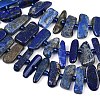 Natural Lapis Lazuli Beads Strands G-K393-B05-4