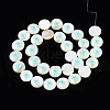 Natural Freshwater Shell Enamel Beads SHEL-N026-194-04-2