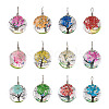 Craftdady 12Pcs Transparent Glass Pendants GLAA-CD0001-03-9