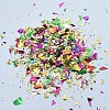 Plastic Candy Sequins/Paillette Chip X-DIY-I019-01N-2