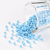 (Repacking Service Available) Glass Seed Beads SEED-C021-3mm-123-1