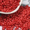 Baking Paint Glass Seed Beads SEED-K009-01A-07-1