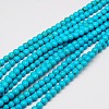 Synthetic Turquoise Beads Strands TURQ-G106-10mm-02F-1