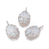 Opalite Pendants G-K296-A03-P-1