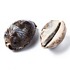 Printed Natural Cowrie Shell Beads SSHEL-Q314-002-3
