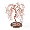 Natural Rose Quartz Tree Display Decoration DJEW-G027-20RG-06-2